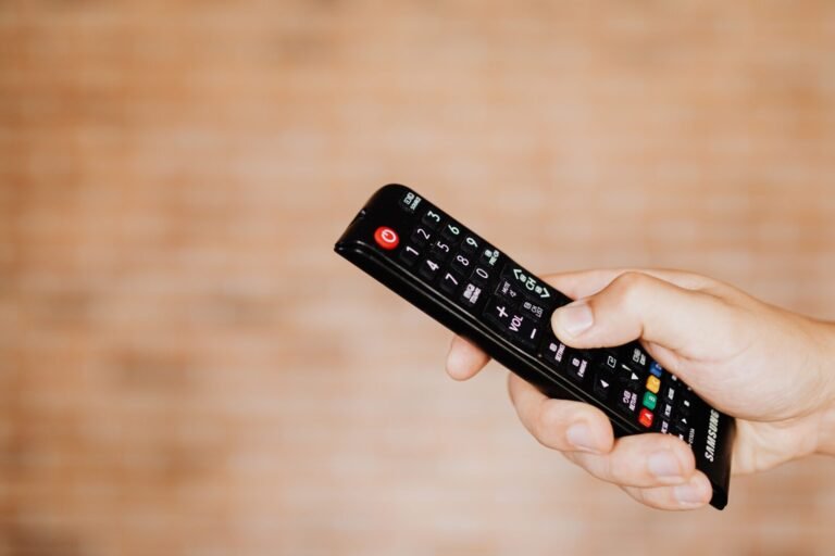 Person holding a TV remote control for streaming